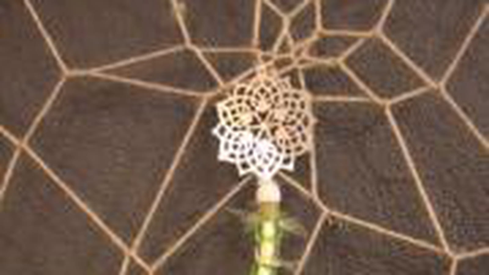 Plume et arabesque
