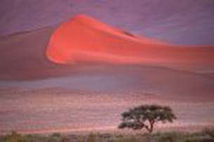 la nature sublimée par la lumière 