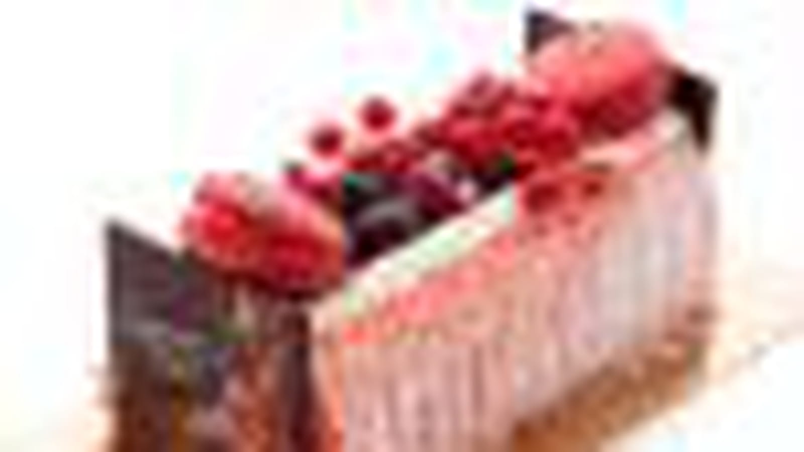 Bûche Dominique Saibron