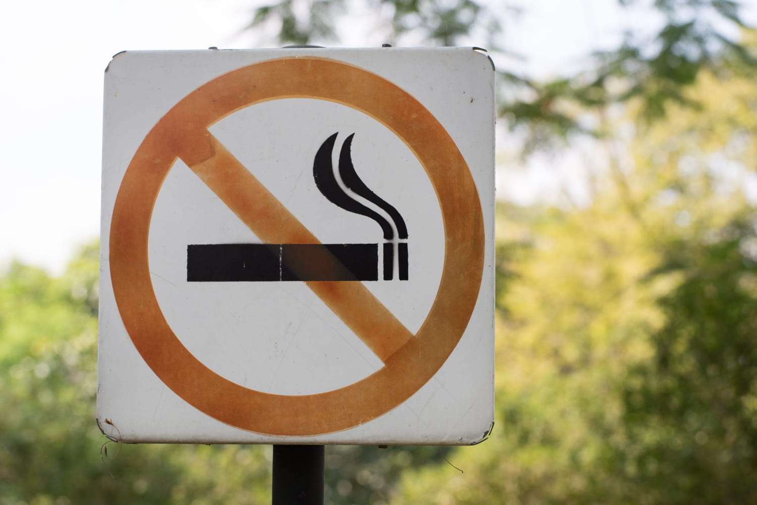 World No Tobacco Day 2026: date, theme, how to quit? World No Tobacco Day 2026: date, theme, how to quit?