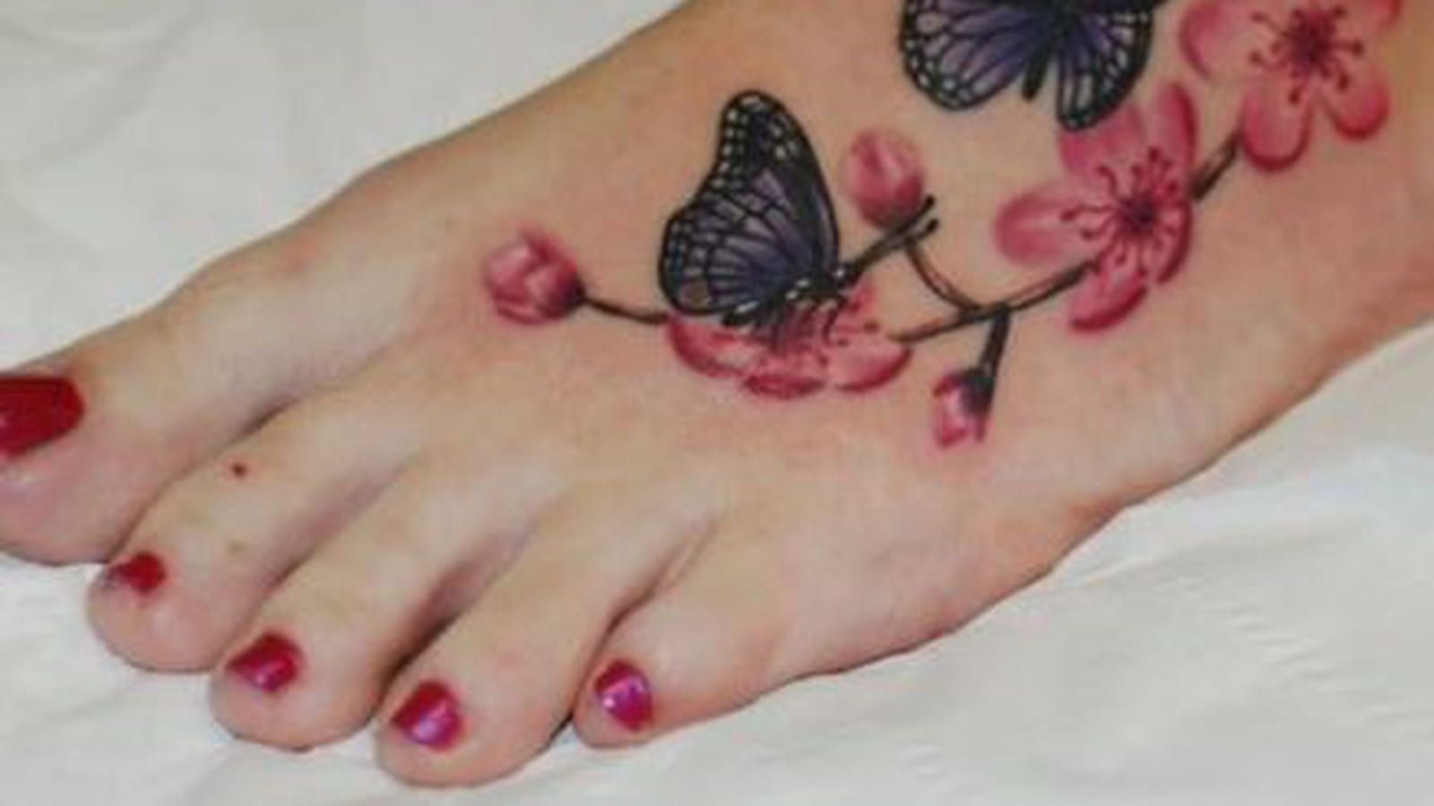 Fleurs de cerisier et papillons sur le pied