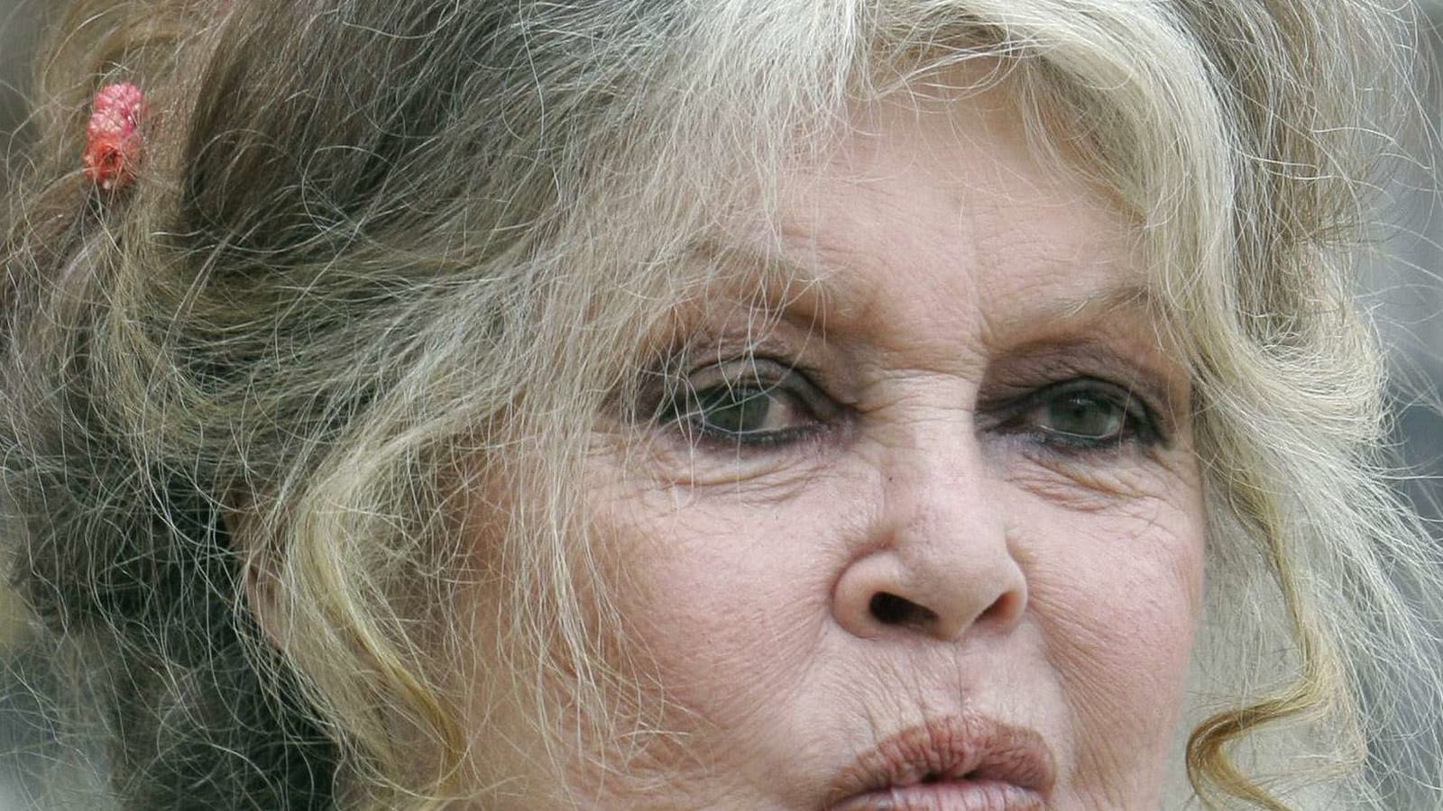 Brigitte Bardot