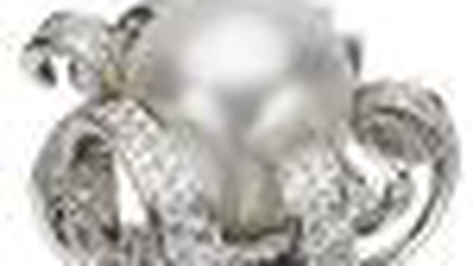 Van Cleef & Arpels