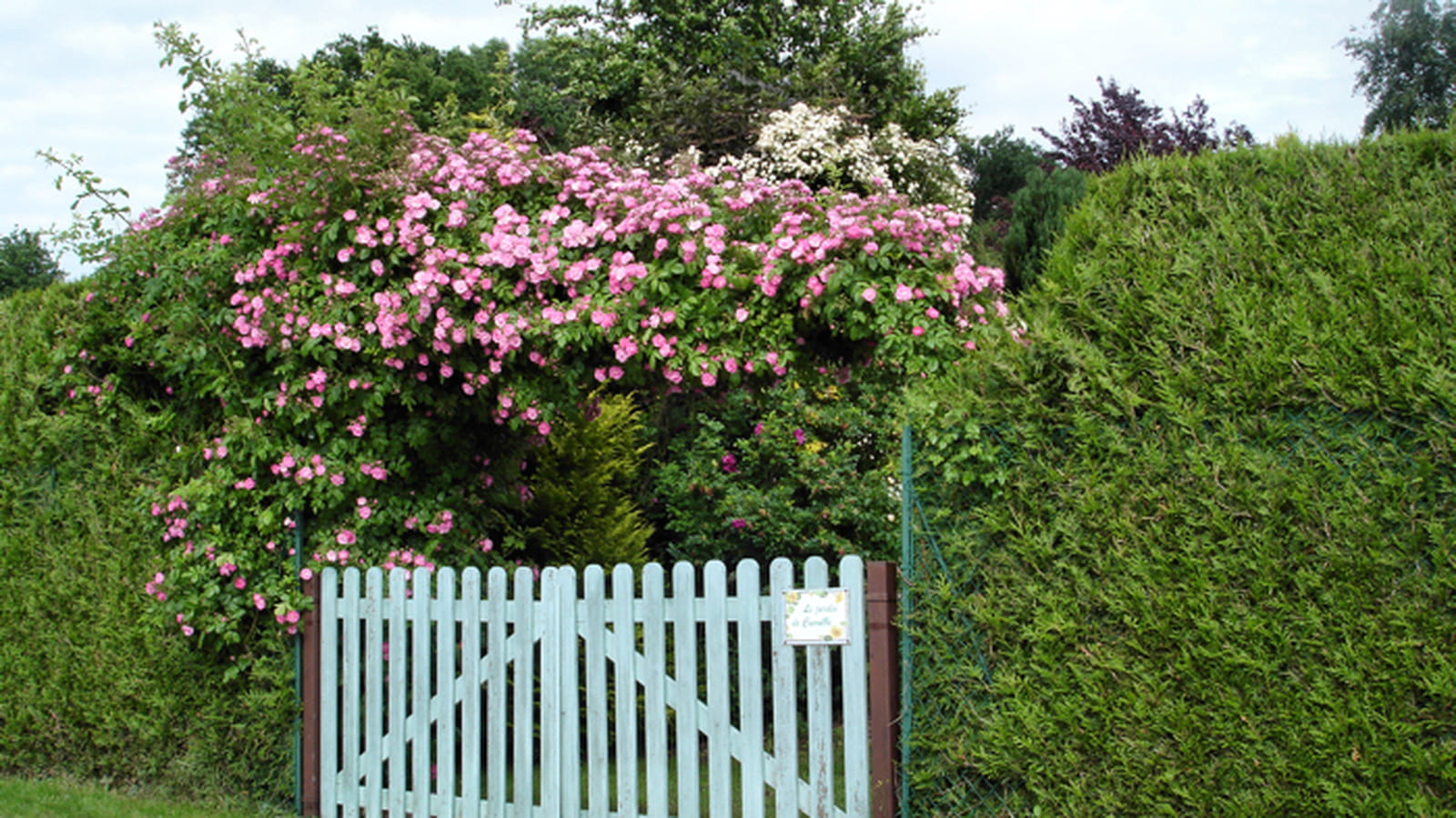 Entrée du jardin
