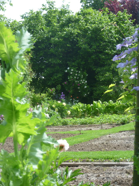 Quelques lignes dessinées