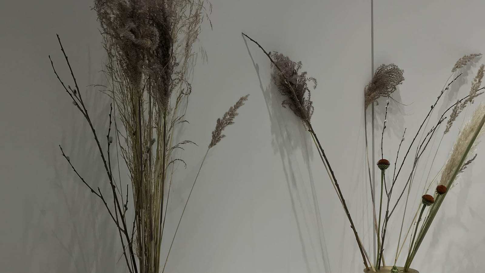 Vases Paola Sakr