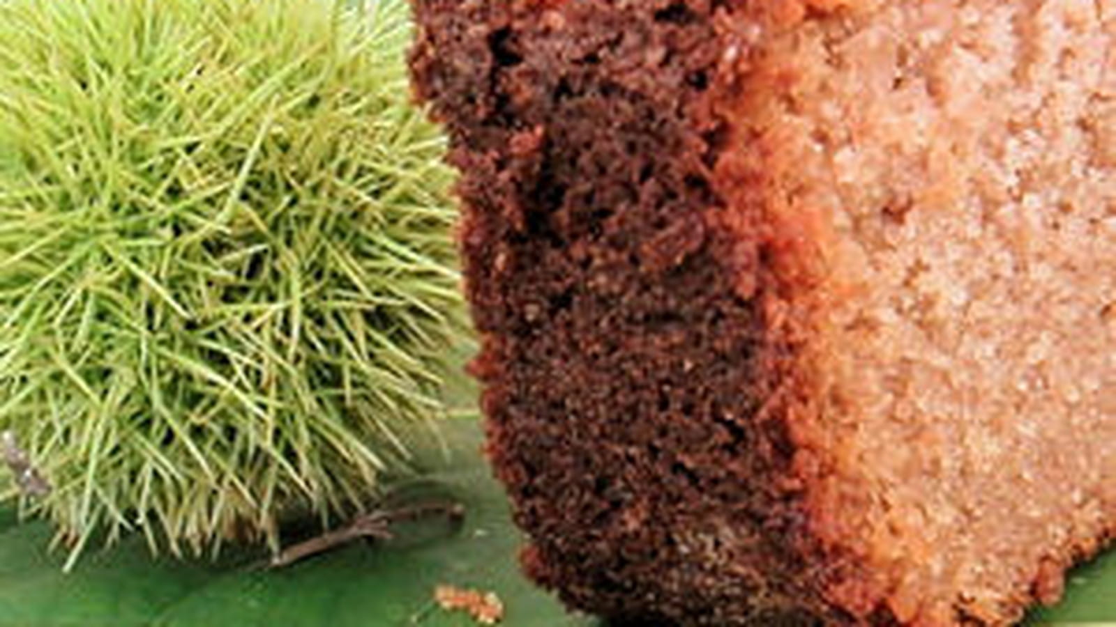 Cake à la farine de châtaignes