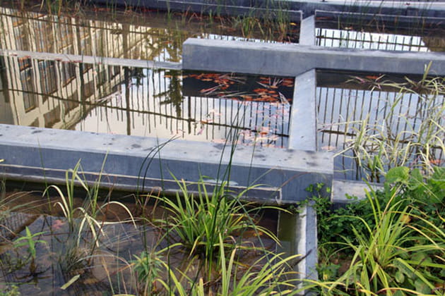 Une forte présence de l'eau