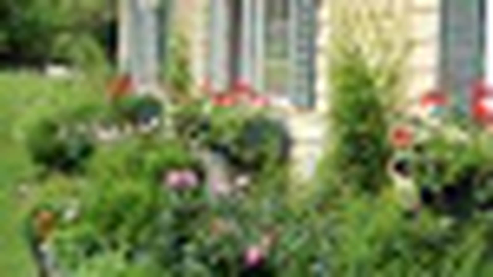 Jardin à l'anglaise