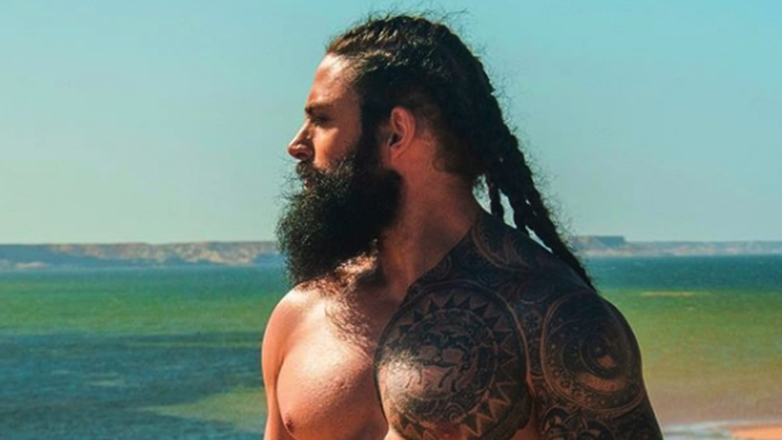 David Michigan