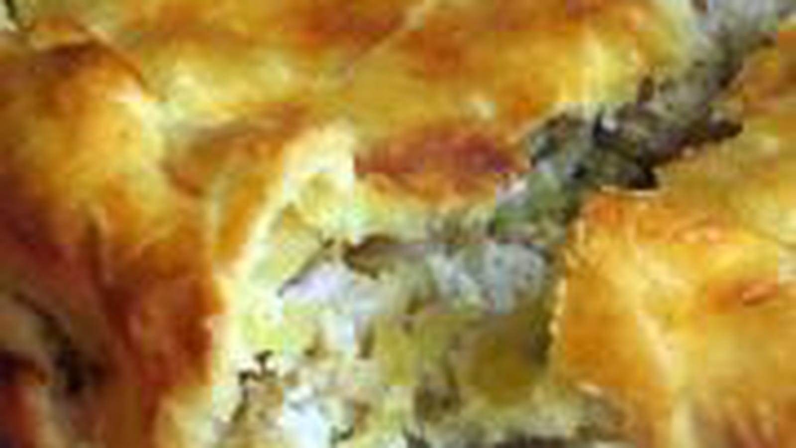 Tourte à la volaille