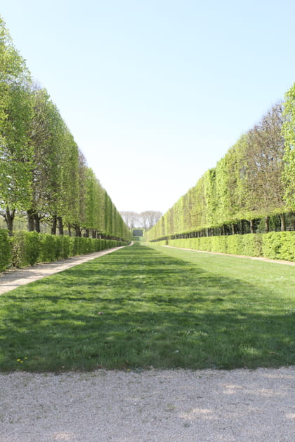 Coul&eacute;e verte &agrave; perte de vue