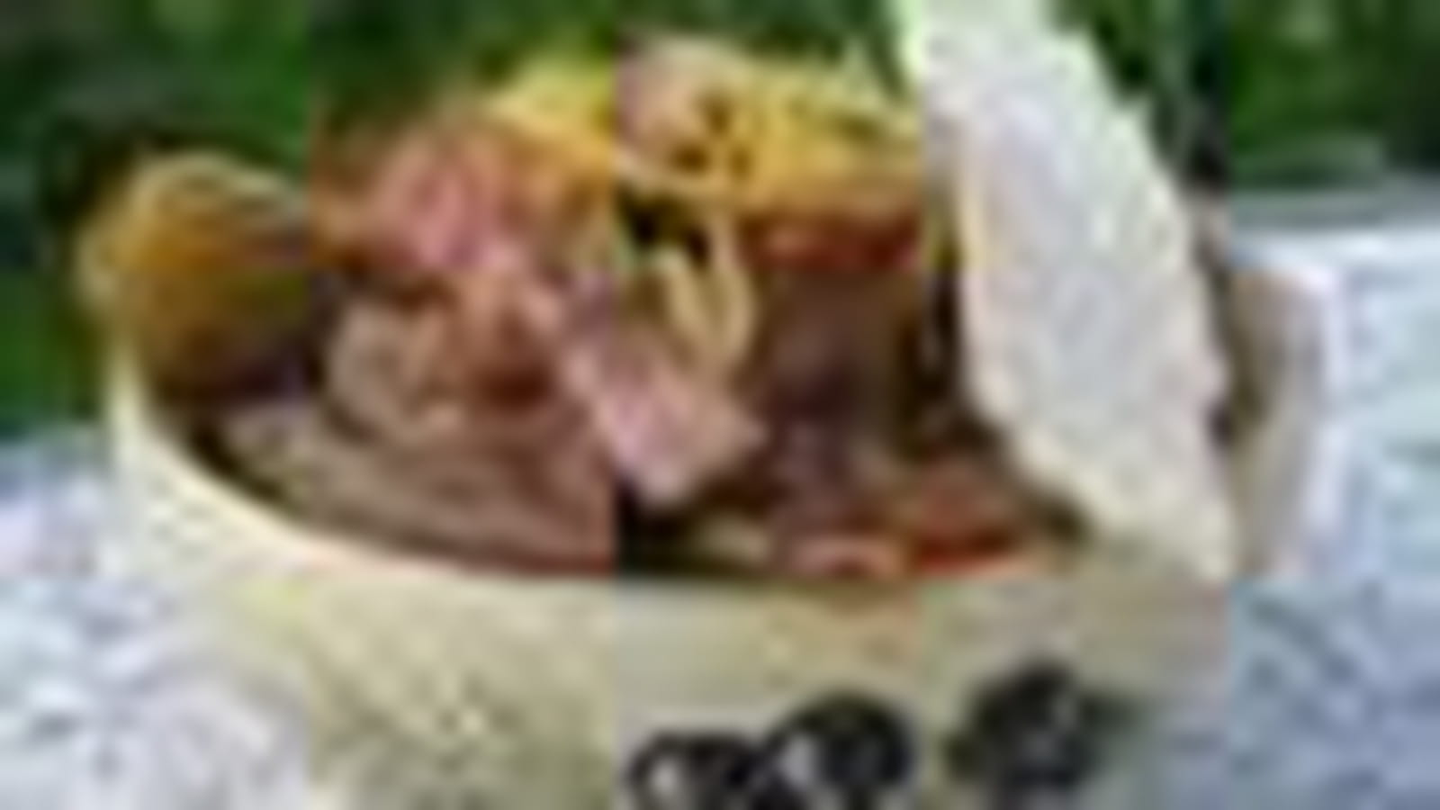 Tomate