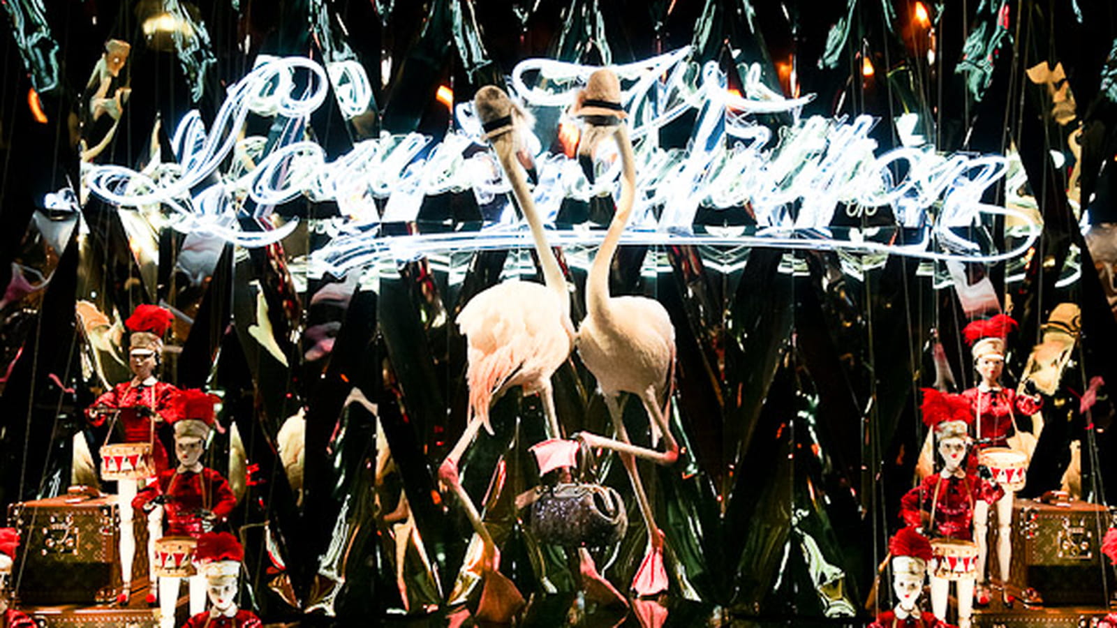 Flamants roses