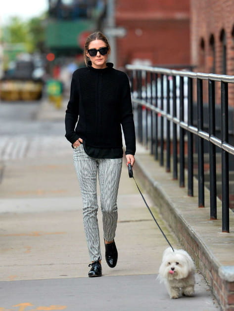 Olivia Palermo et son petit chien à New York