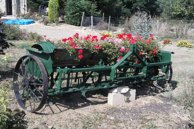 Une ancienne semeuse reconvertie