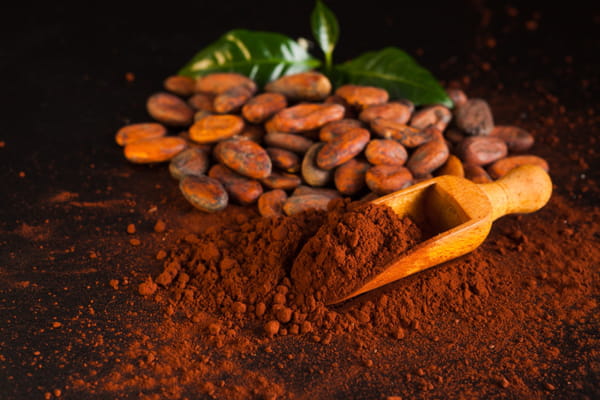 cacao-pur