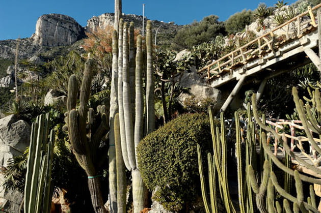 Un petit c&ocirc;t&eacute; far west