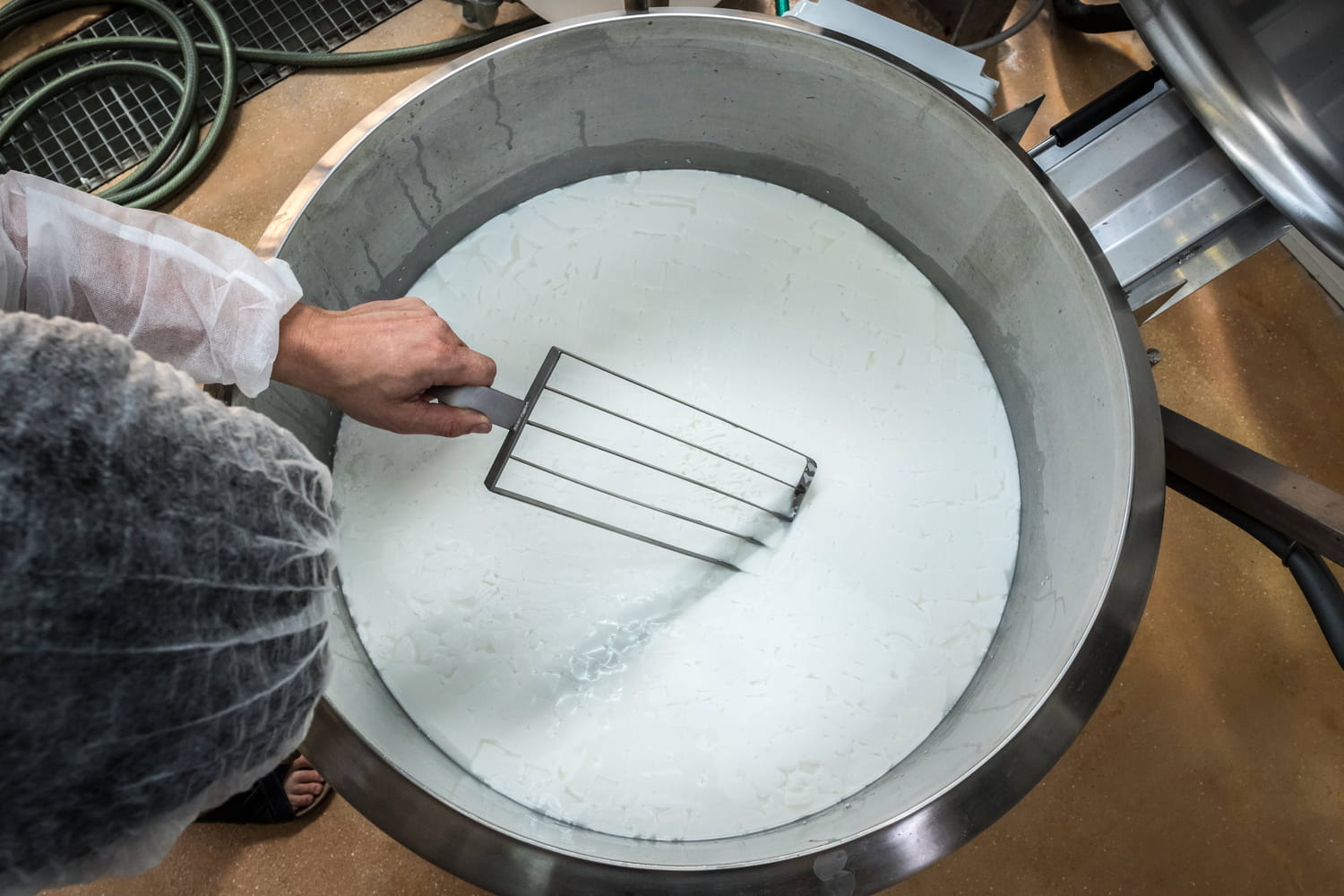 health benefits, cholesterol, taste, where to buy it? health benefits, cholesterol, taste, where to buy it?