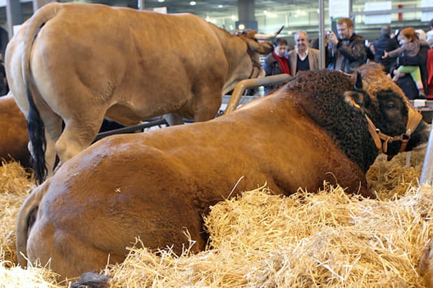 Un couple tr&egrave;s people