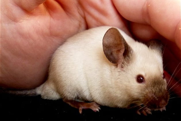 Un petit moment de tranquillité