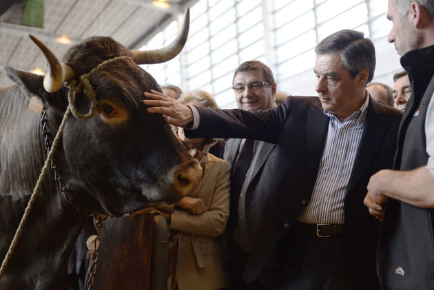 François Fillon, sceptique