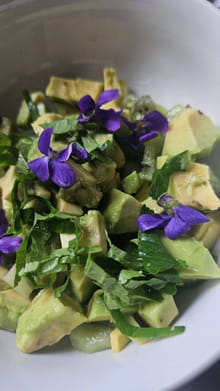Tartare d'avocat et de kiwi sous voile de riz aux violettes : Etape 2
