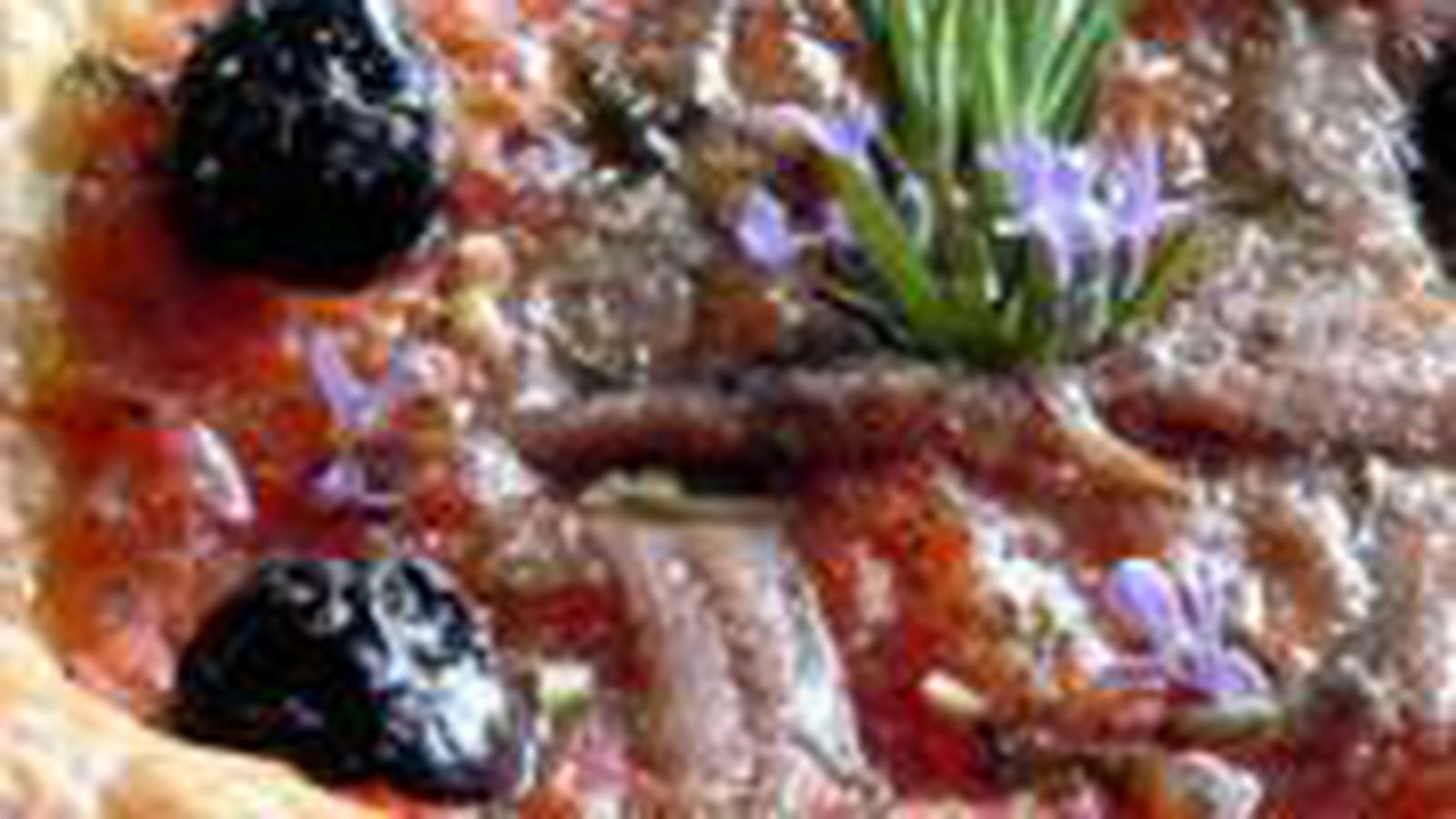Pizza légère à la niçoise