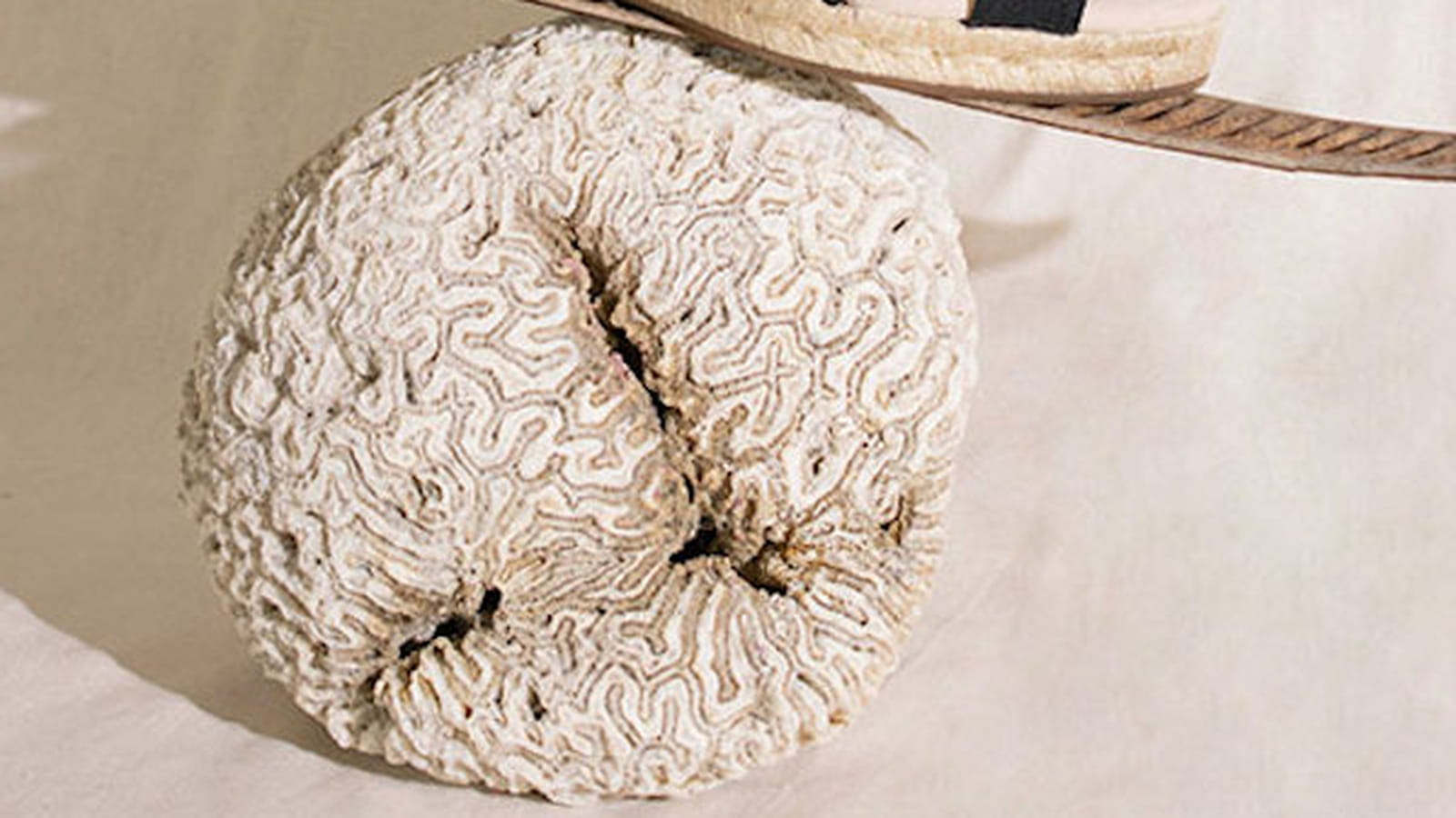 Espadrilles Escadrille