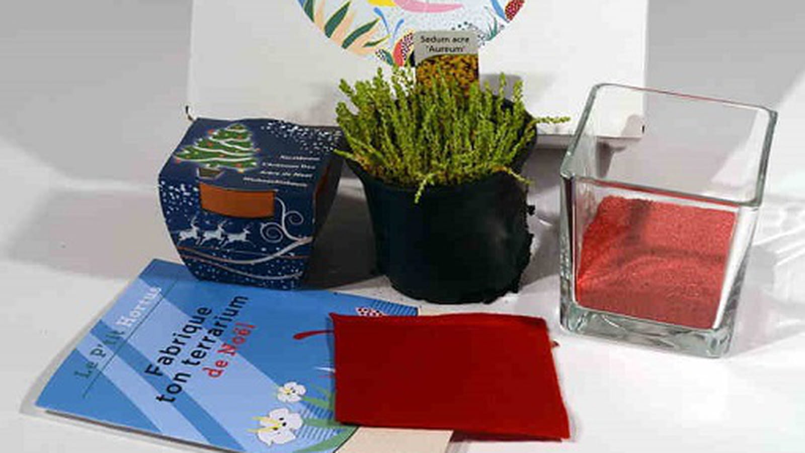 Hortus box