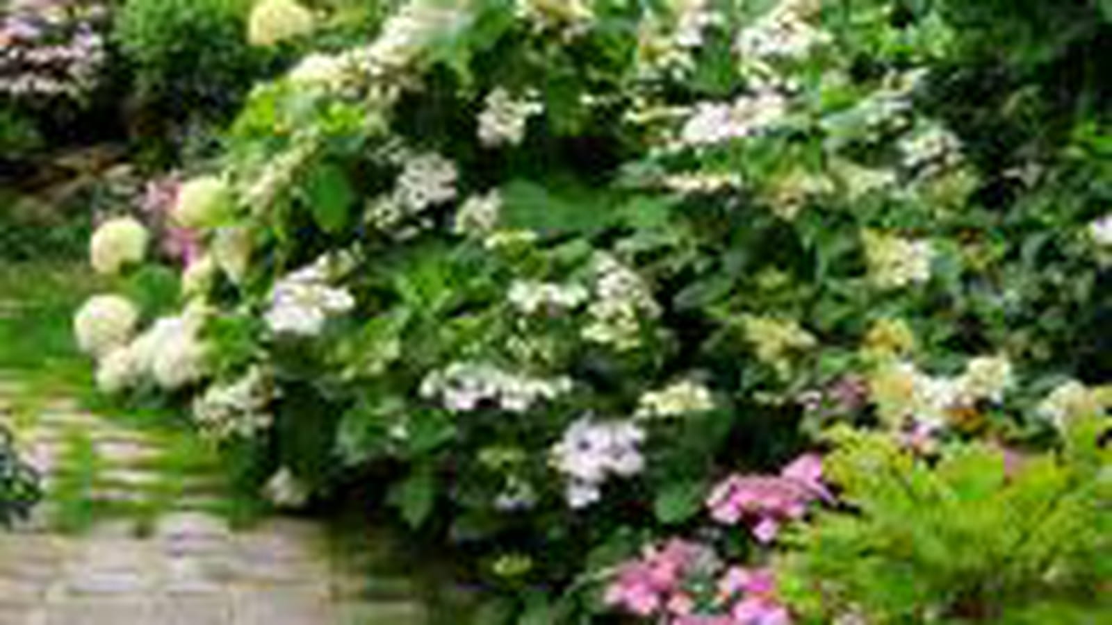 Mixed-border