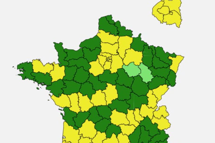 Carte des pollens 2021 : bouleau, graminées, lesquels en avril ?