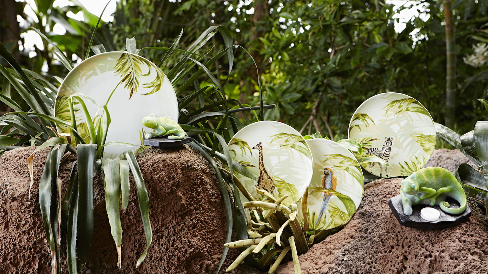 Assiettes à imprimé jungle