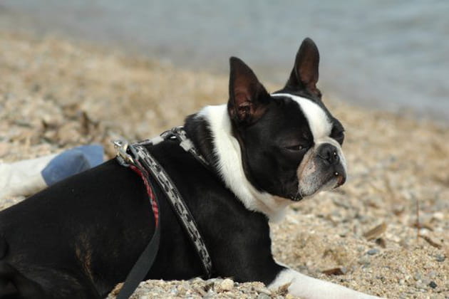 D&eacute;tente absolue