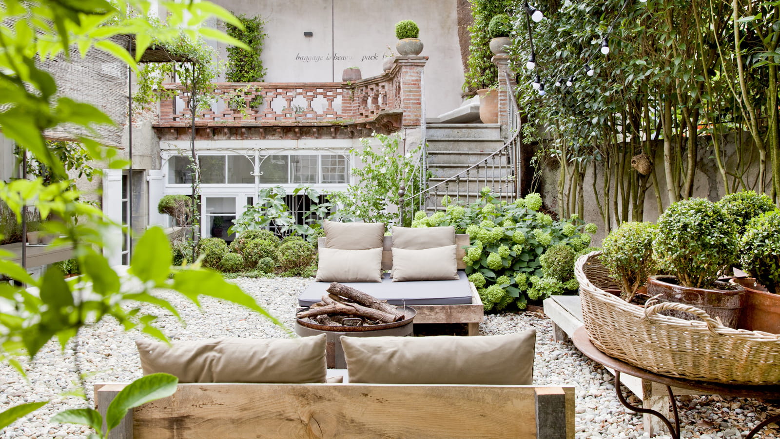 Topiaires en pot 