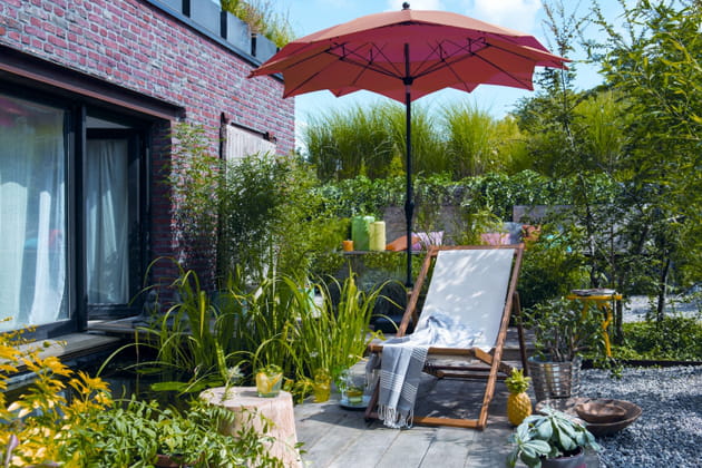 Chilienne par Jardiland