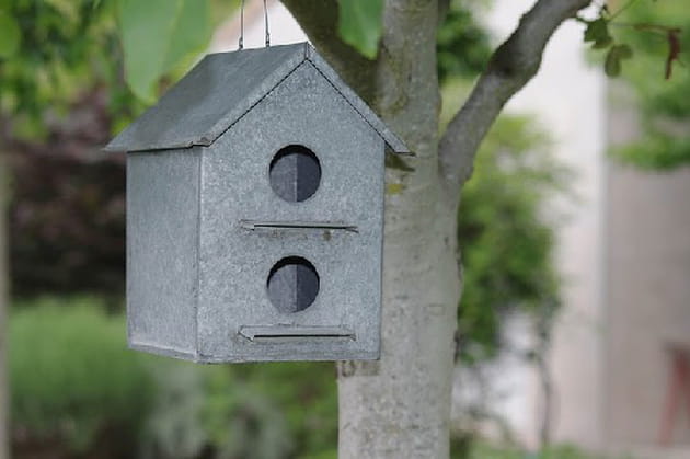 Les oiseaux sont les bienvenus au jardin