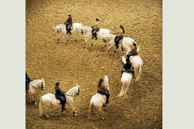 La musique au centre de l'expression artistique