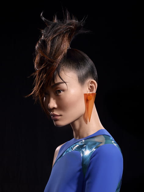 La queue-de-cheval audacieuse de Dessange