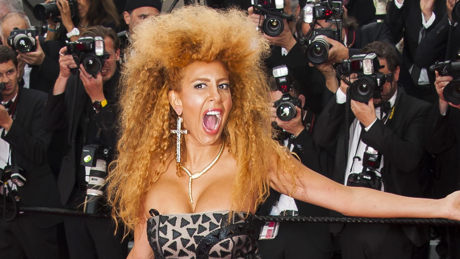 Afida Turner