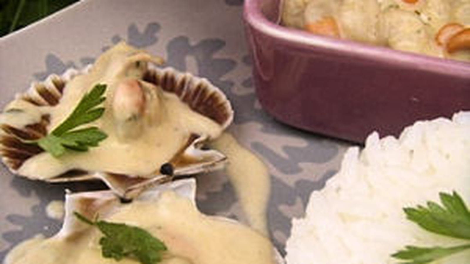 Noix de pétoncle