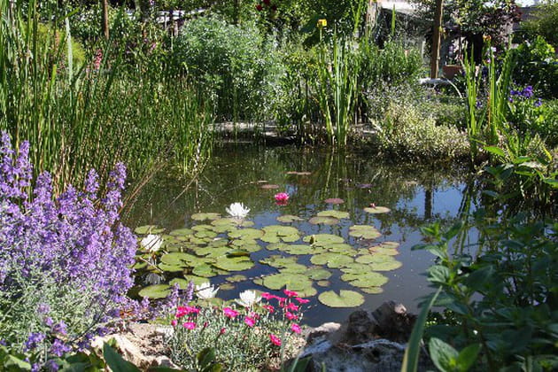 Un bassin digne d'une peinture de Claude Monet