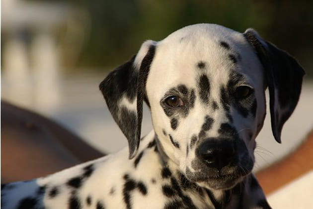 Toujours partante pour une balade