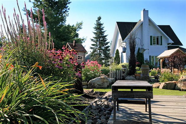 Les v&eacute;g&eacute;taux du Canada