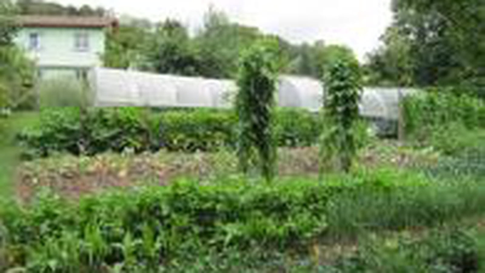 Catégorie "Jardin potager privatif"
