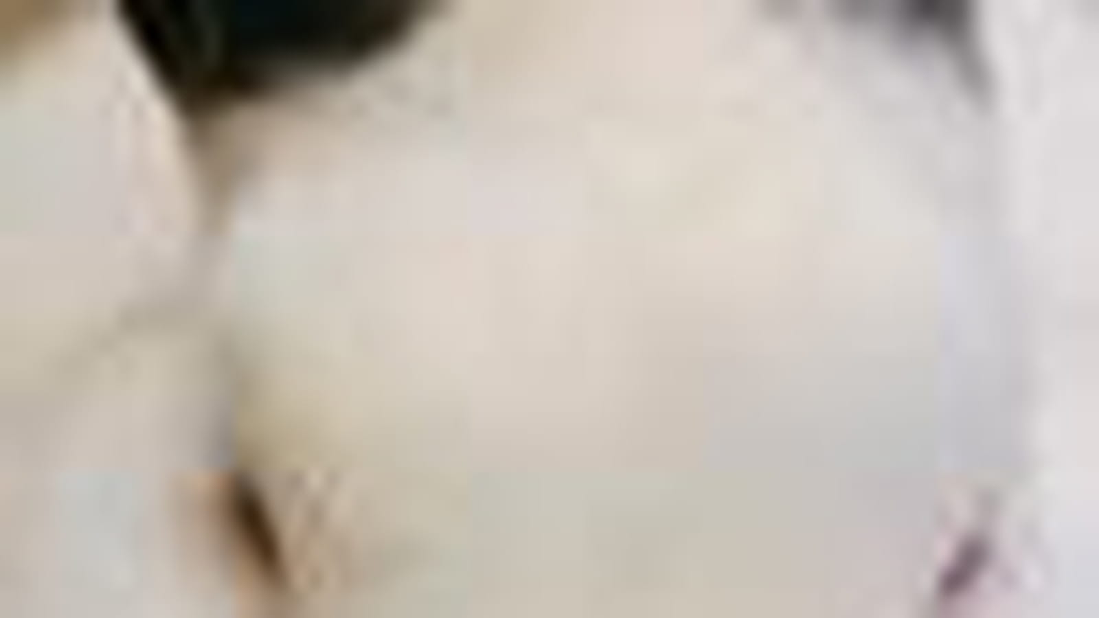 Lapin nain