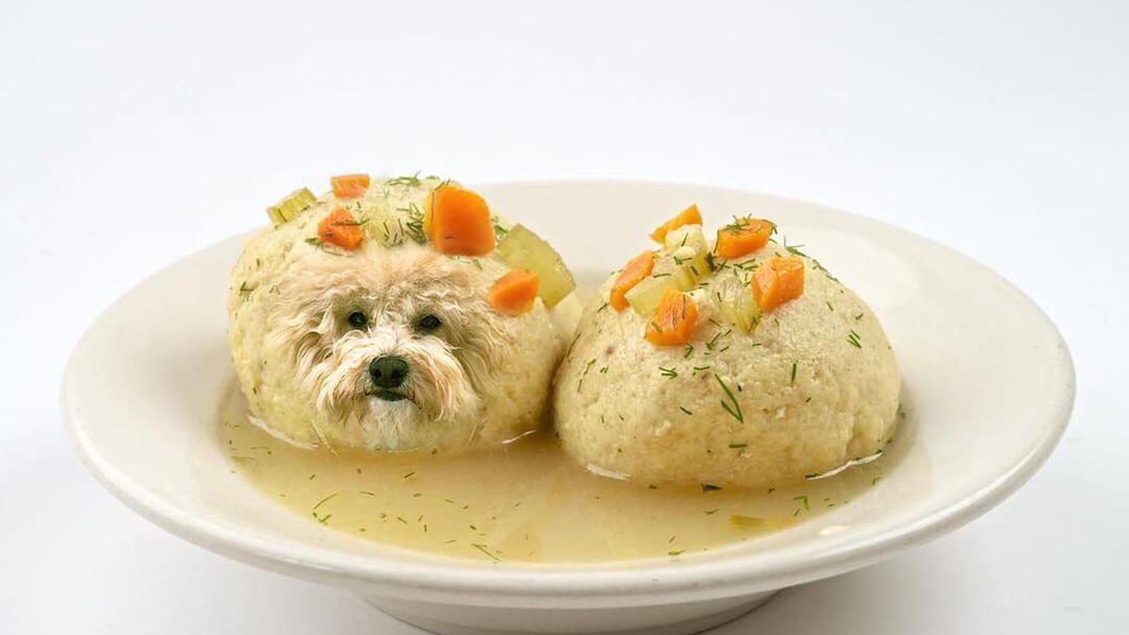 Roulez boulettes !