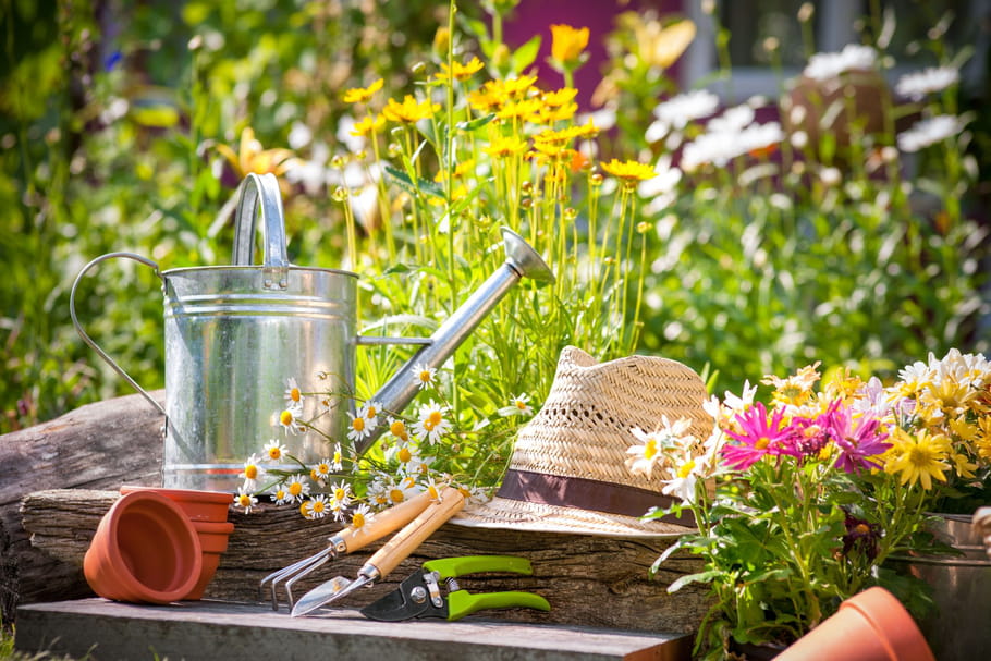 Que faire au jardin en juin ?