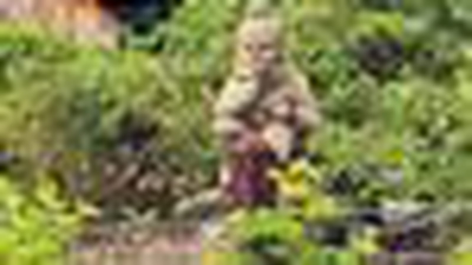 Lutin