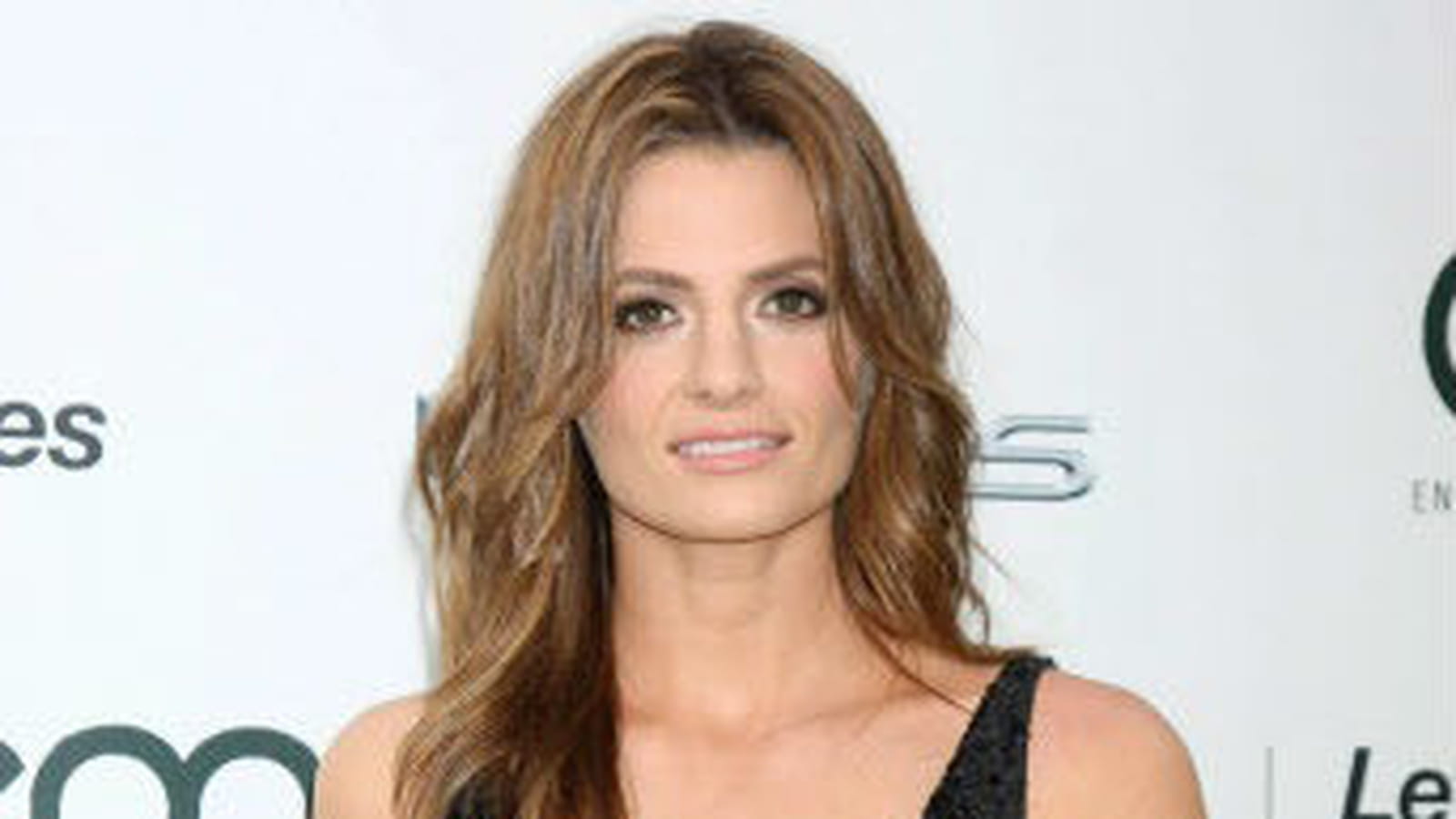 Stana Katic